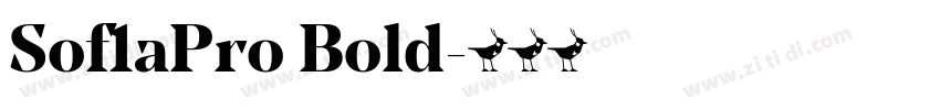 Sof1aPro Bold字体转换